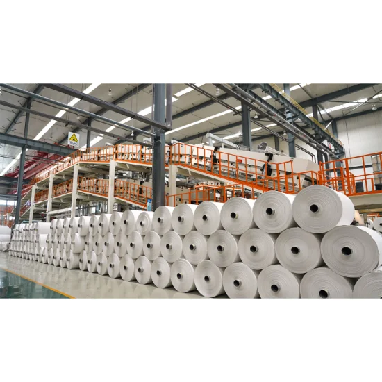 Paper Factory in China Supply Stone Paper PE Coated Paper